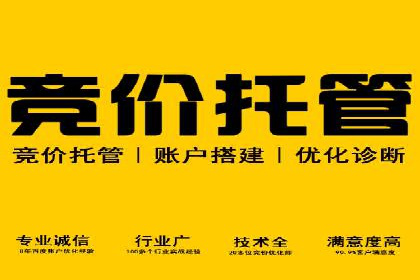 竞价排名案例：快速抢占市场先机